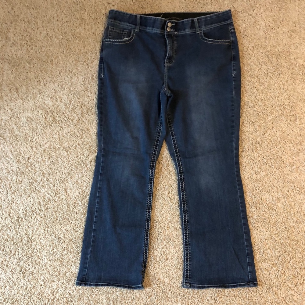 20- lane Bryant jeans, gently used